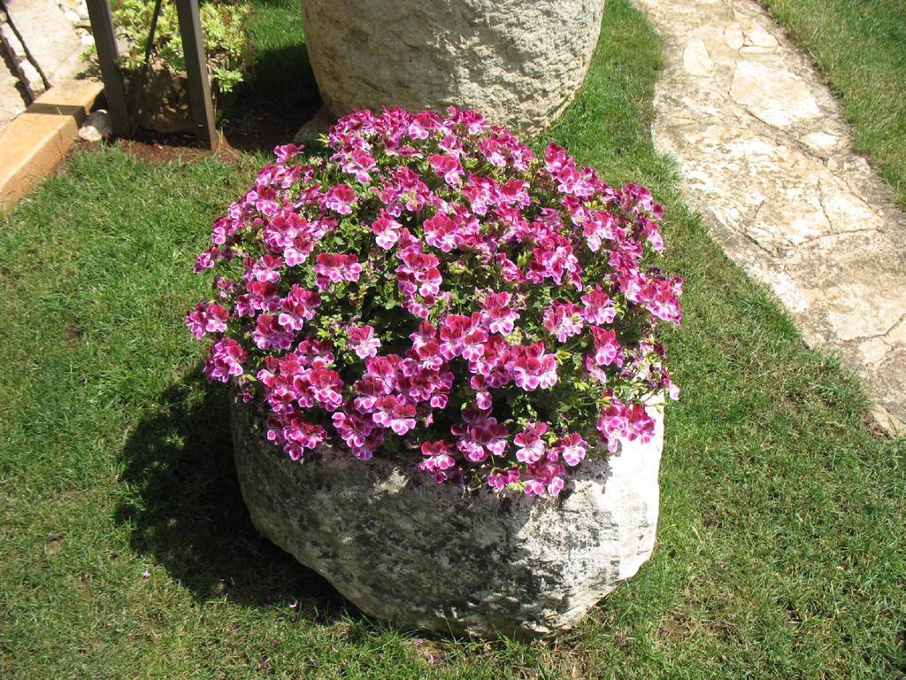 Otilija