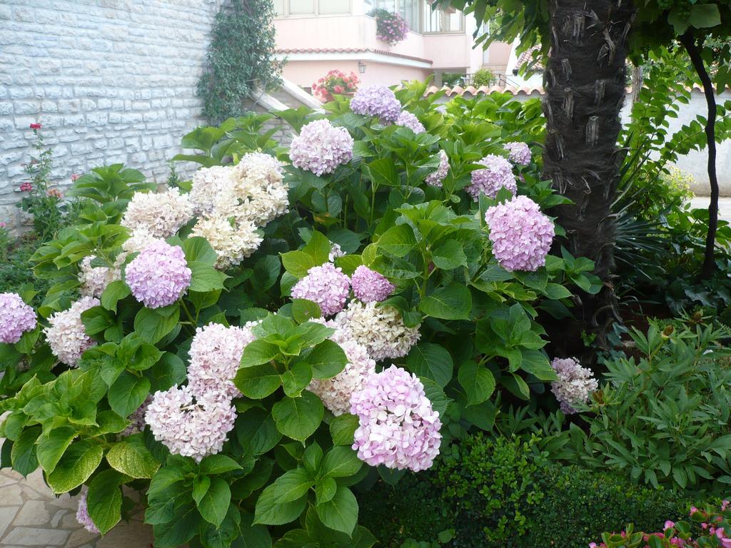 Apartment Otilija *